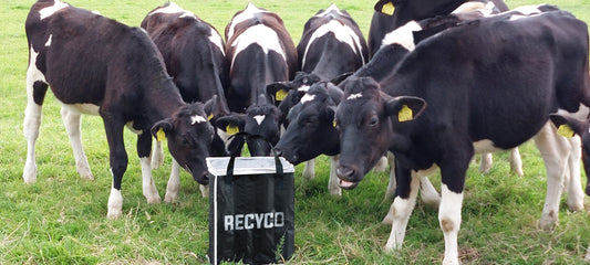 Schoon je statiegeld inleveren met de Recyco Statiegeldtas